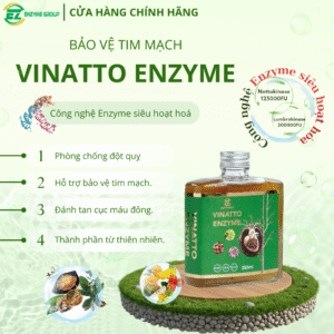 VINATTO ENZYME - Nước Uống Bổ Sung Sức Khỏe, Tốt Cho Tim Mạch & Thành Mạch Máu - Hộp 250ml